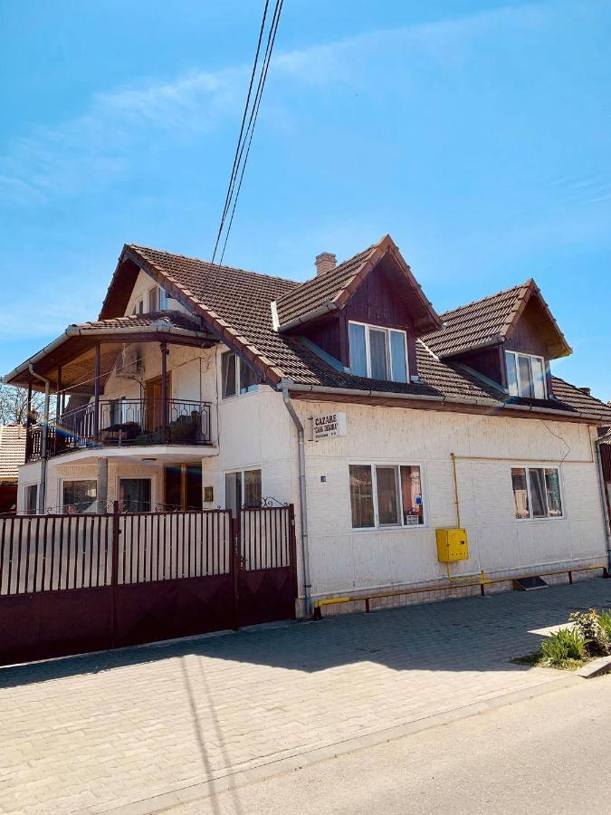 Casa Debora Hotel Haţeg Buitenkant foto