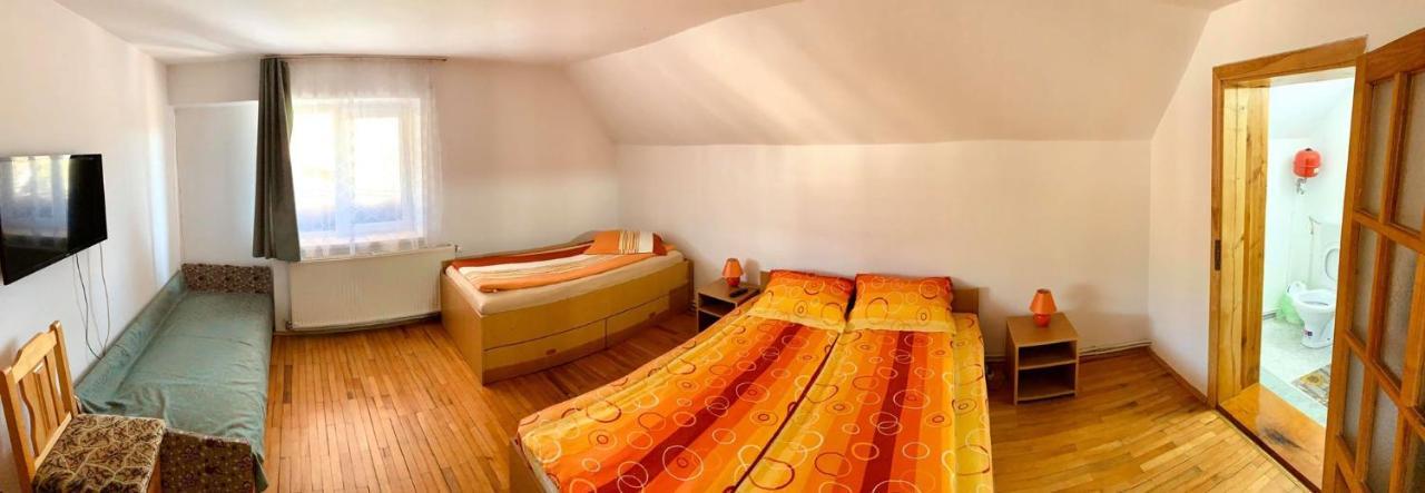 Casa Debora Hotel Haţeg Buitenkant foto