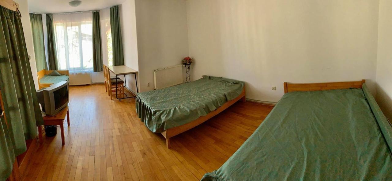 Casa Debora Hotel Haţeg Buitenkant foto