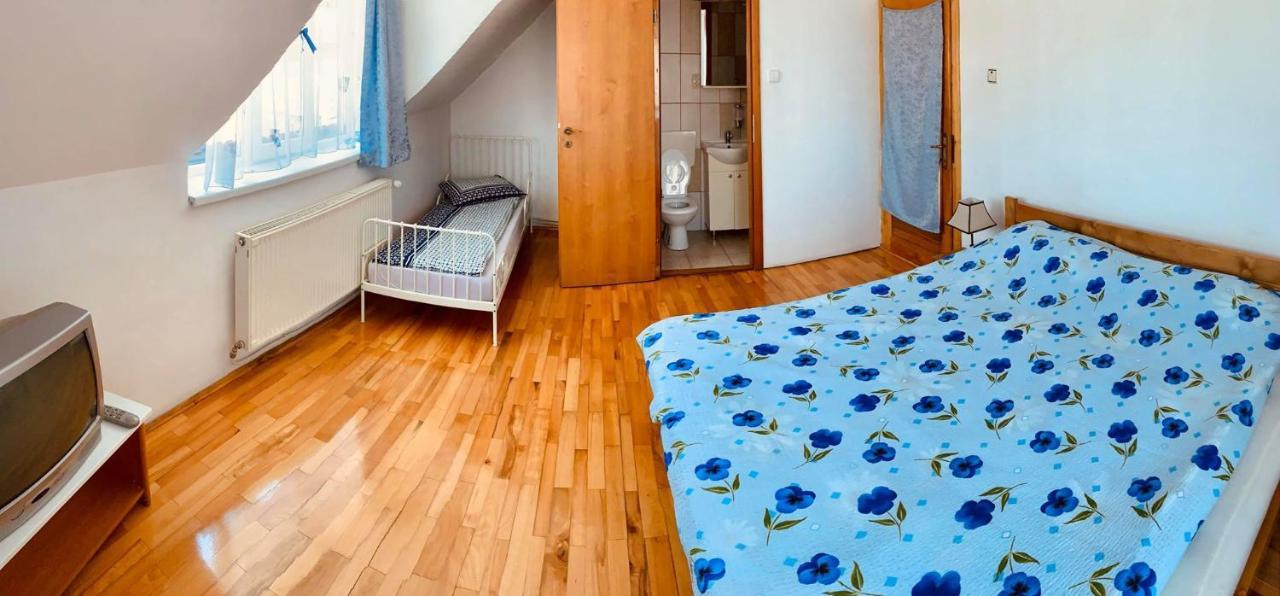 Casa Debora Hotel Haţeg Buitenkant foto
