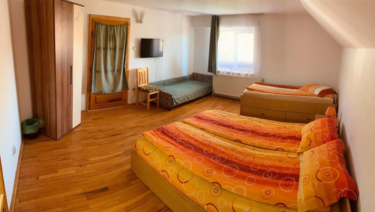 Casa Debora Hotel Haţeg Buitenkant foto