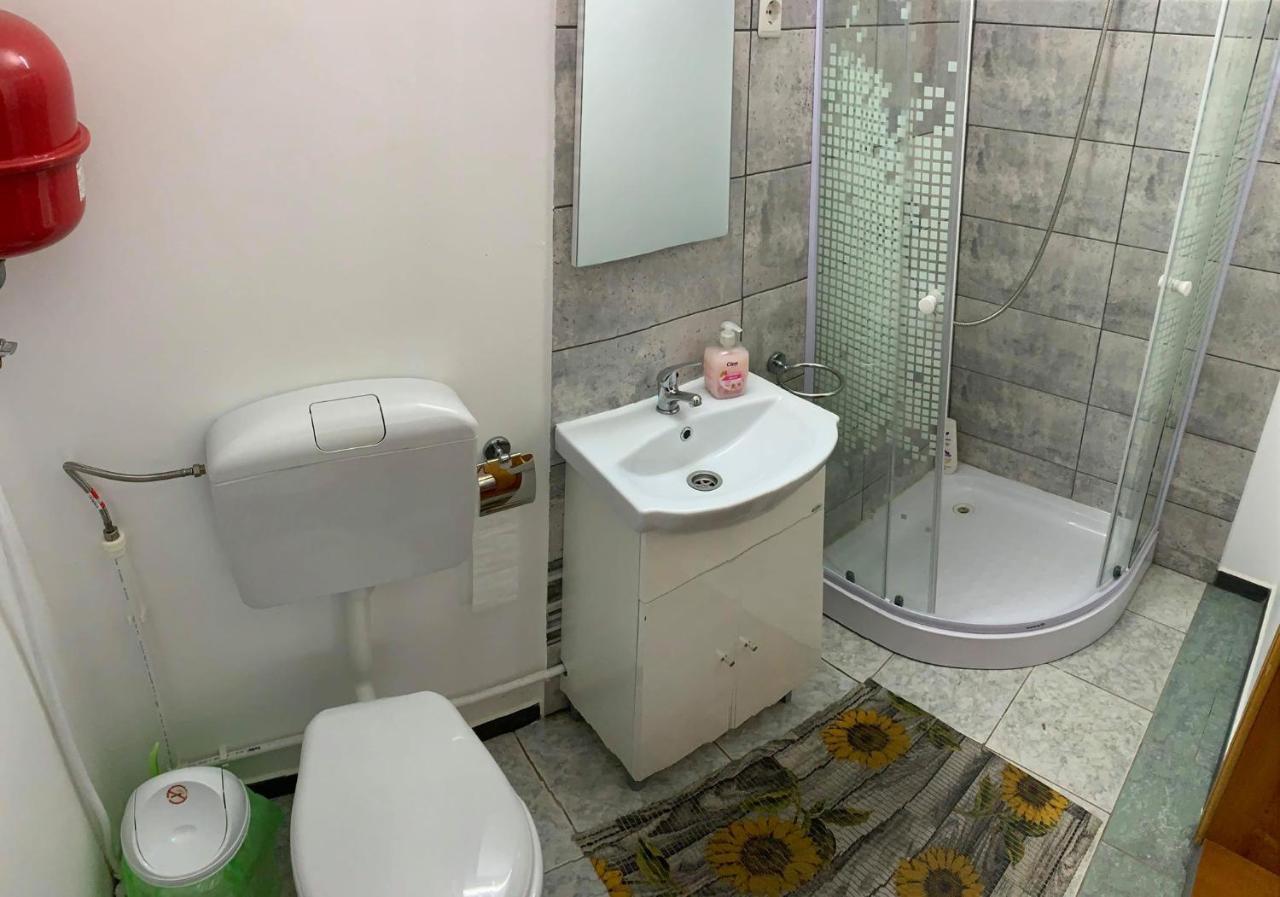 Casa Debora Hotel Haţeg Buitenkant foto