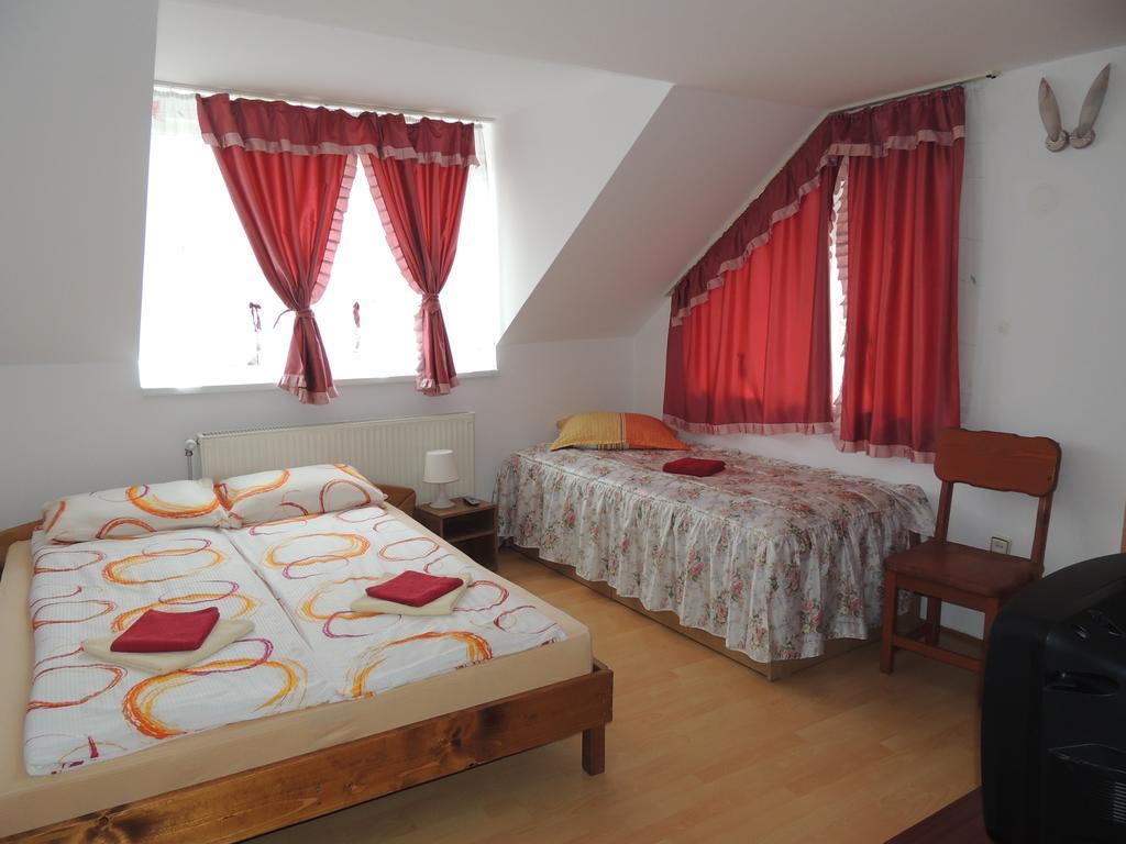 Casa Debora Hotel Haţeg Buitenkant foto