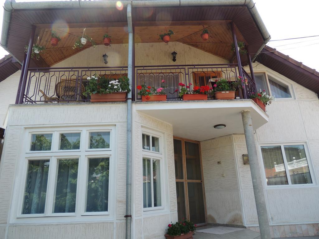Casa Debora Hotel Haţeg Buitenkant foto